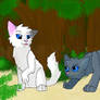 Snowpaw and Bluepaw