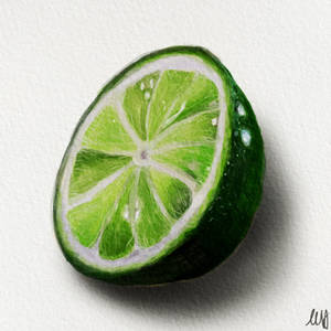 Explore the Best Lime Art | DeviantArt