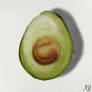 Avocado Study