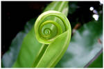 Swirl by justaride