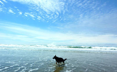 Painted Beach