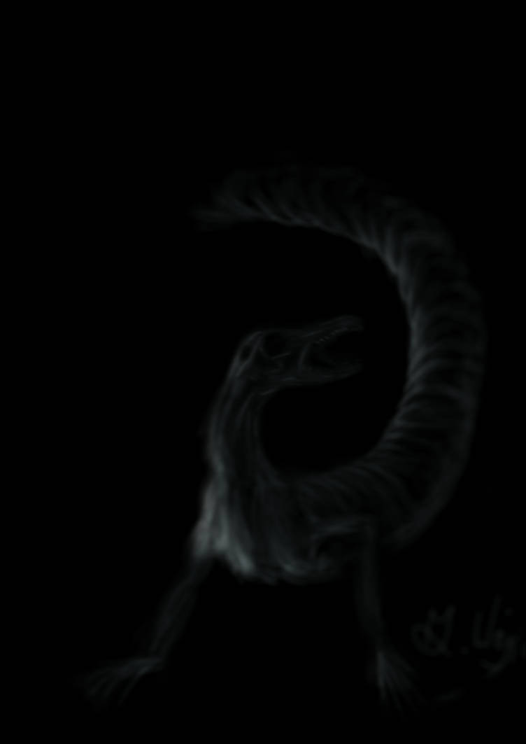 Infinity lizard by Miksones on DeviantArt