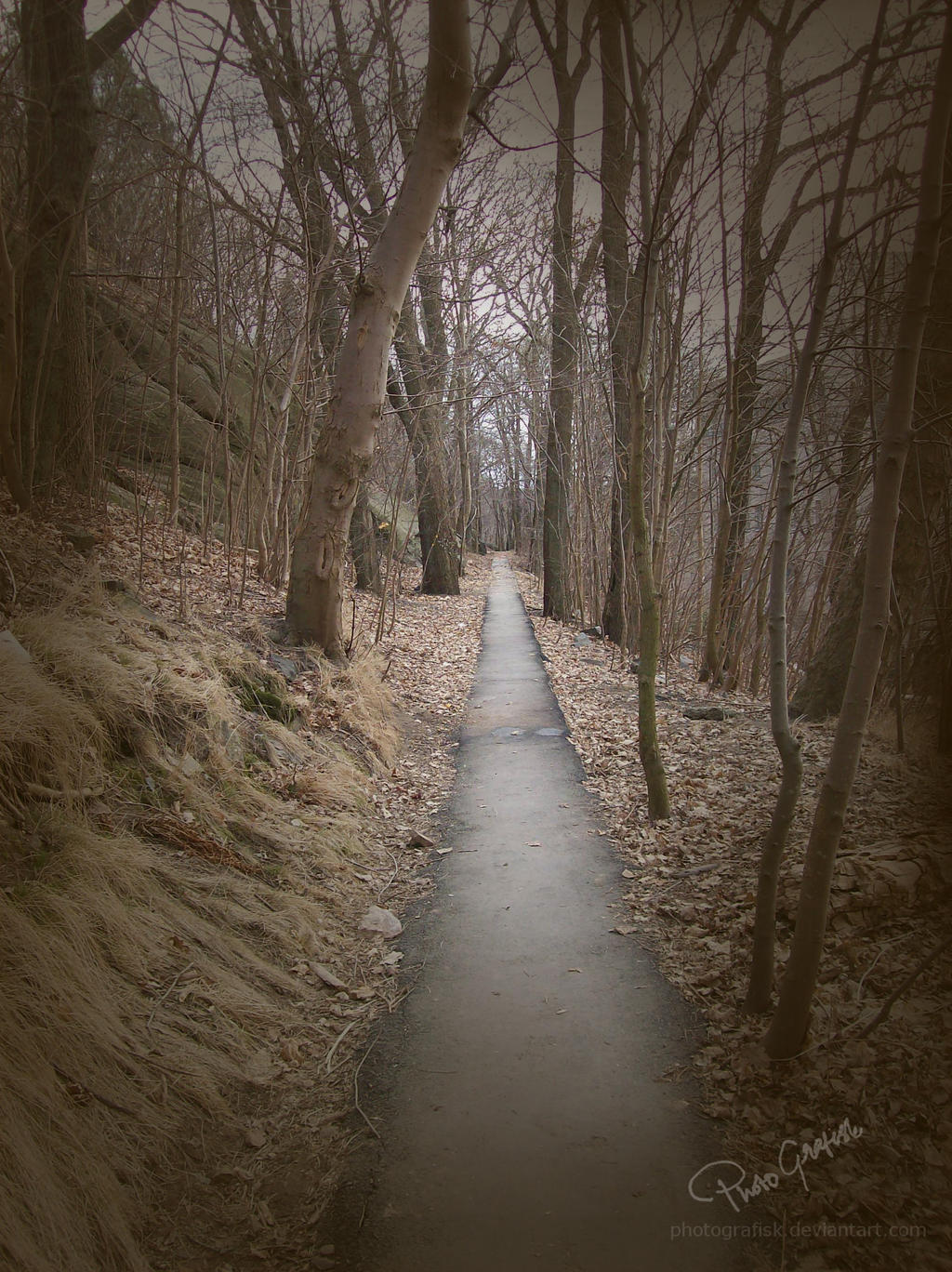 Mystery Path by Photografisk on DeviantArt