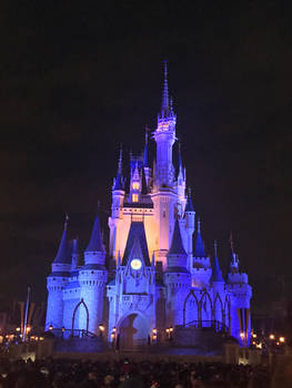 DisneyWorld Castle 2018