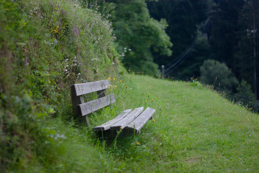 Lonely Bench