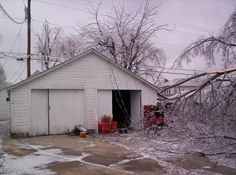 power lines torn down