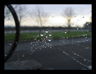 Reflection in The Web