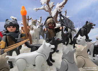 Playmobil Wolf Clan