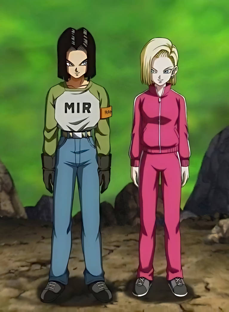 Android 17 and Android 18 by johnny120588 on DeviantArt