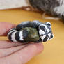 Raccoon with a rainforest jasper