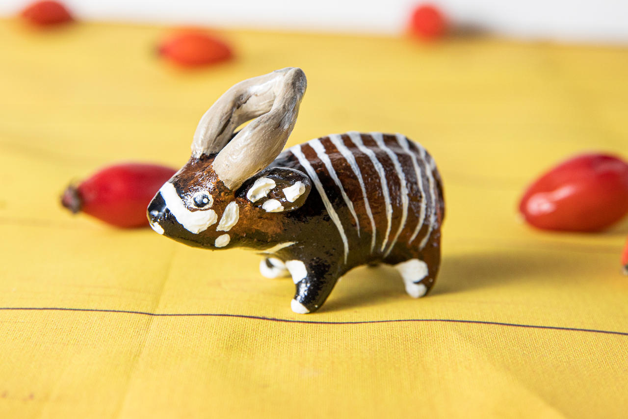 Little Bongo Antelope by lifedancecreations on DeviantArt Little Bongo Antelope by lifedancecreations on DeviantArt