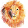 A Lion