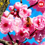 Plum Blossoms and Bees 2022 - 3