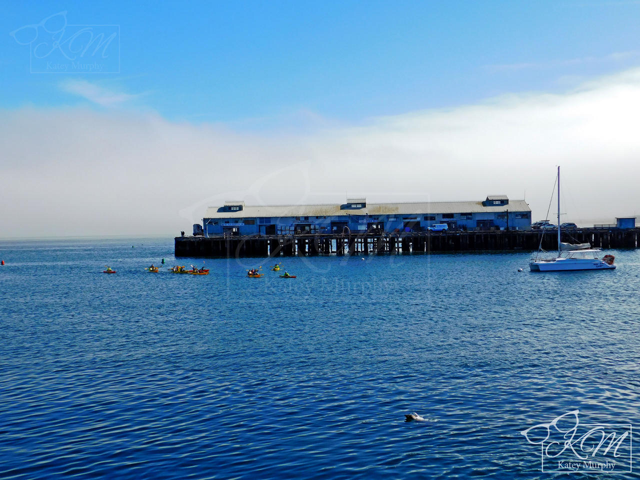 Fishing Dock