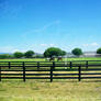 Green Horse Pastures - Arizona 2009