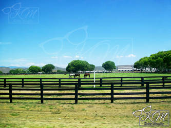 Green Horse Pastures - Arizona 2009