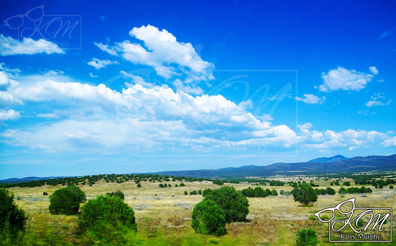 Plains of Northern Arizona 2009