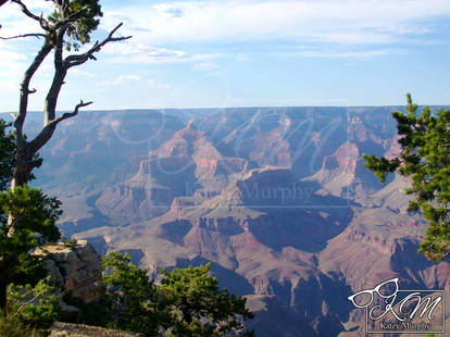 The Grand Canyon 2009 - 6