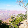 The Grand Canyon 2009 - 7