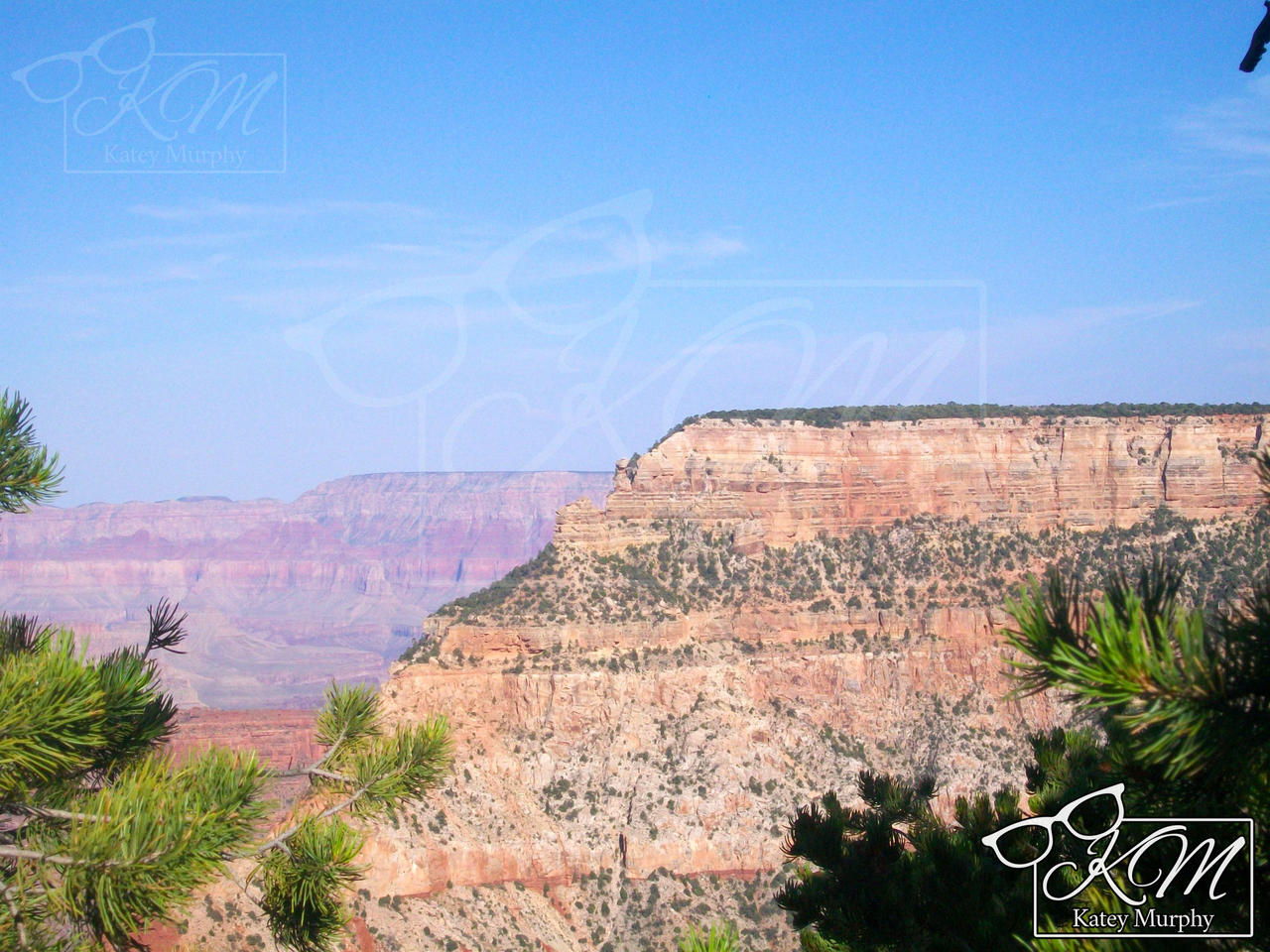 The Grand Canyon 2009 - 8
