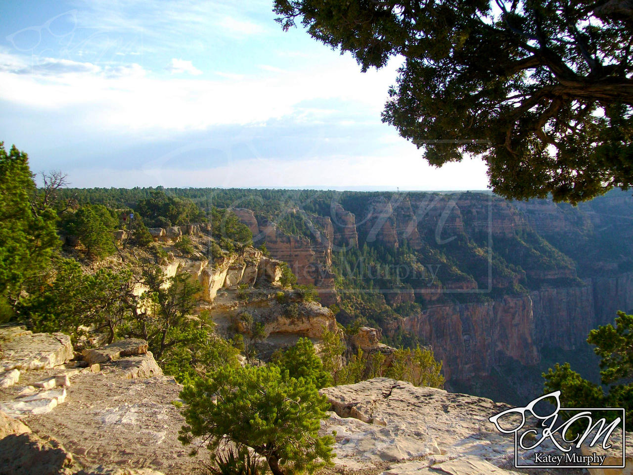 The Grand Canyon 2009 - 12
