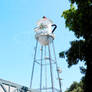 Kingsburg Water Tower 3