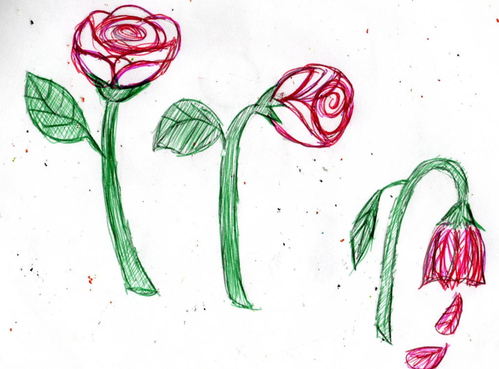 A withered flower small and frail by YuiHarunaShinozaki on DeviantArt