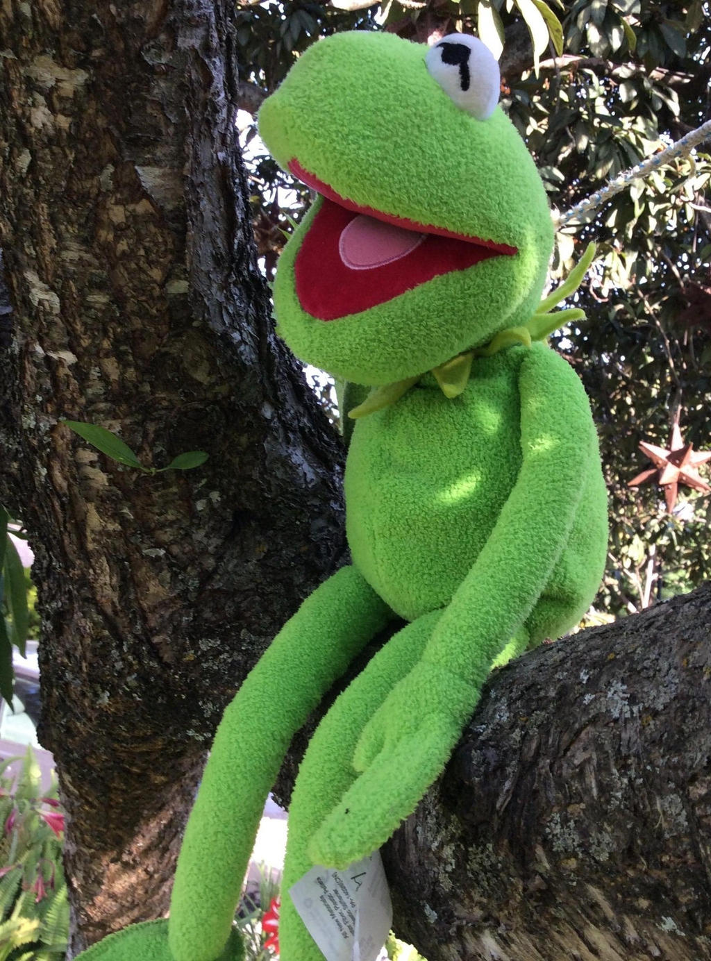 Kermit-Up in a tree by YuiHarunaShinozaki on DeviantArt