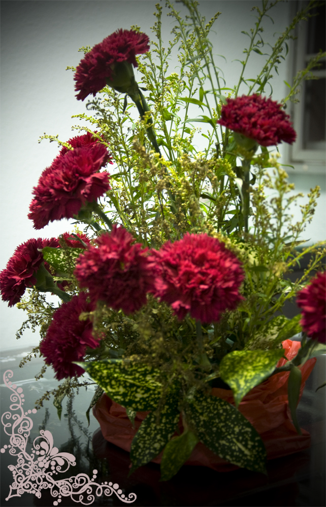 Carnations