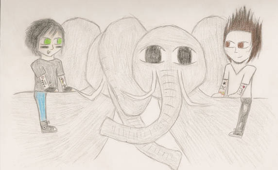 Synacky Elephants