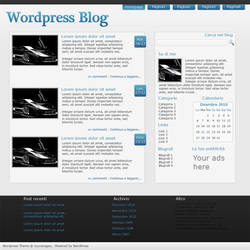 Wordpress blue