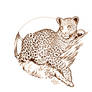 Leopard tattoo design