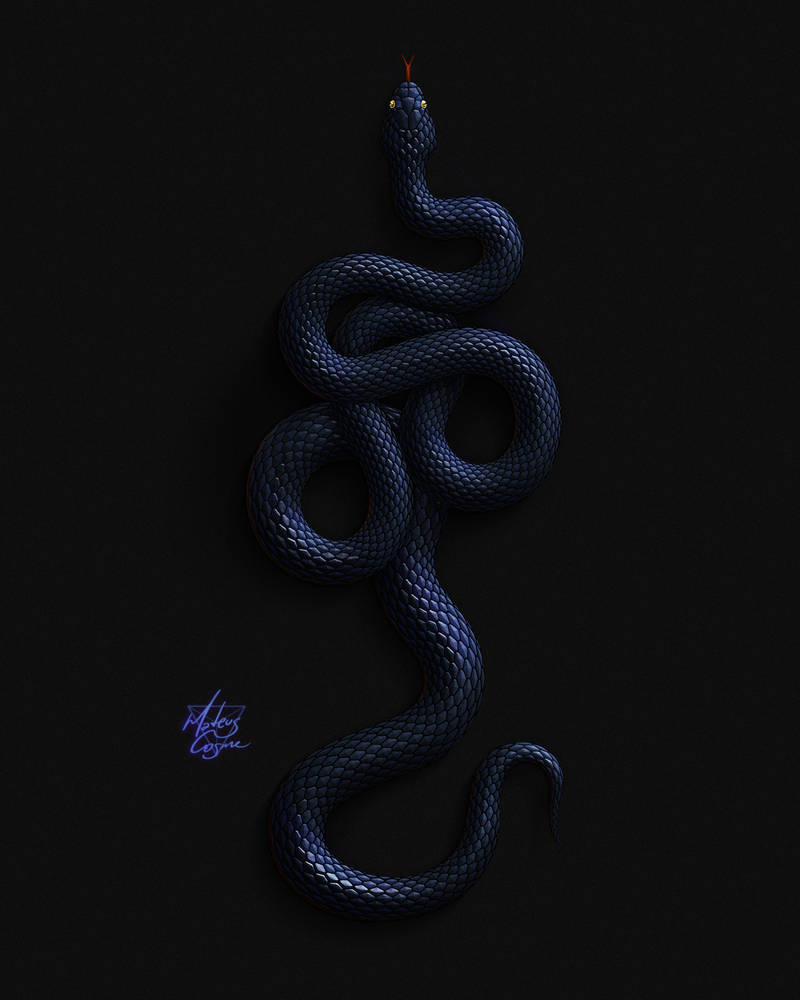 Python by MateusCosme on DeviantArt