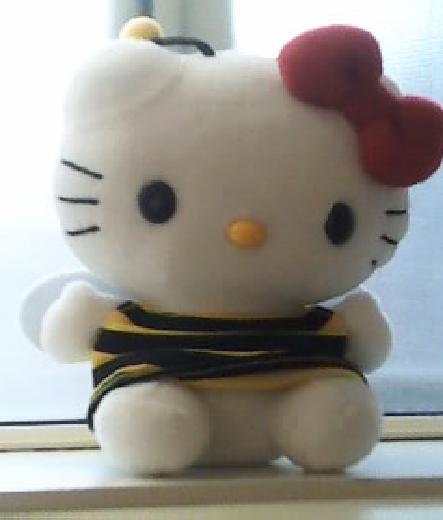 Hello kitty Plushie