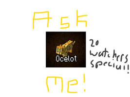 Ask me! 20 Watchers Special!