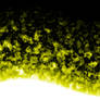 Abstract Yellow Flames