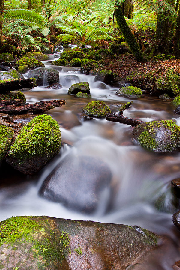 Cement Creek , Yarra Ranges