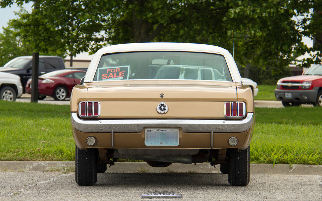 1965 Ford Mustang Rear End By Joerayphoto On Deviantart 1965 Ford Mustang Rear End By Joerayphoto