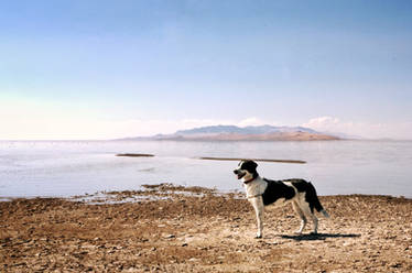 Bindi on the Great Salt Lake. 