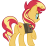 Pony Sunset Rear view