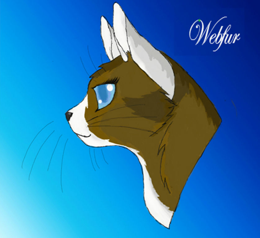 Webfurs Webfur by Webfur on DeviantArt