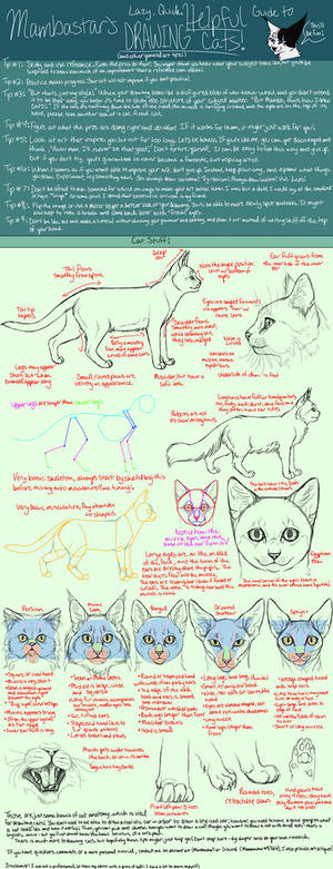 How To Draw Cats