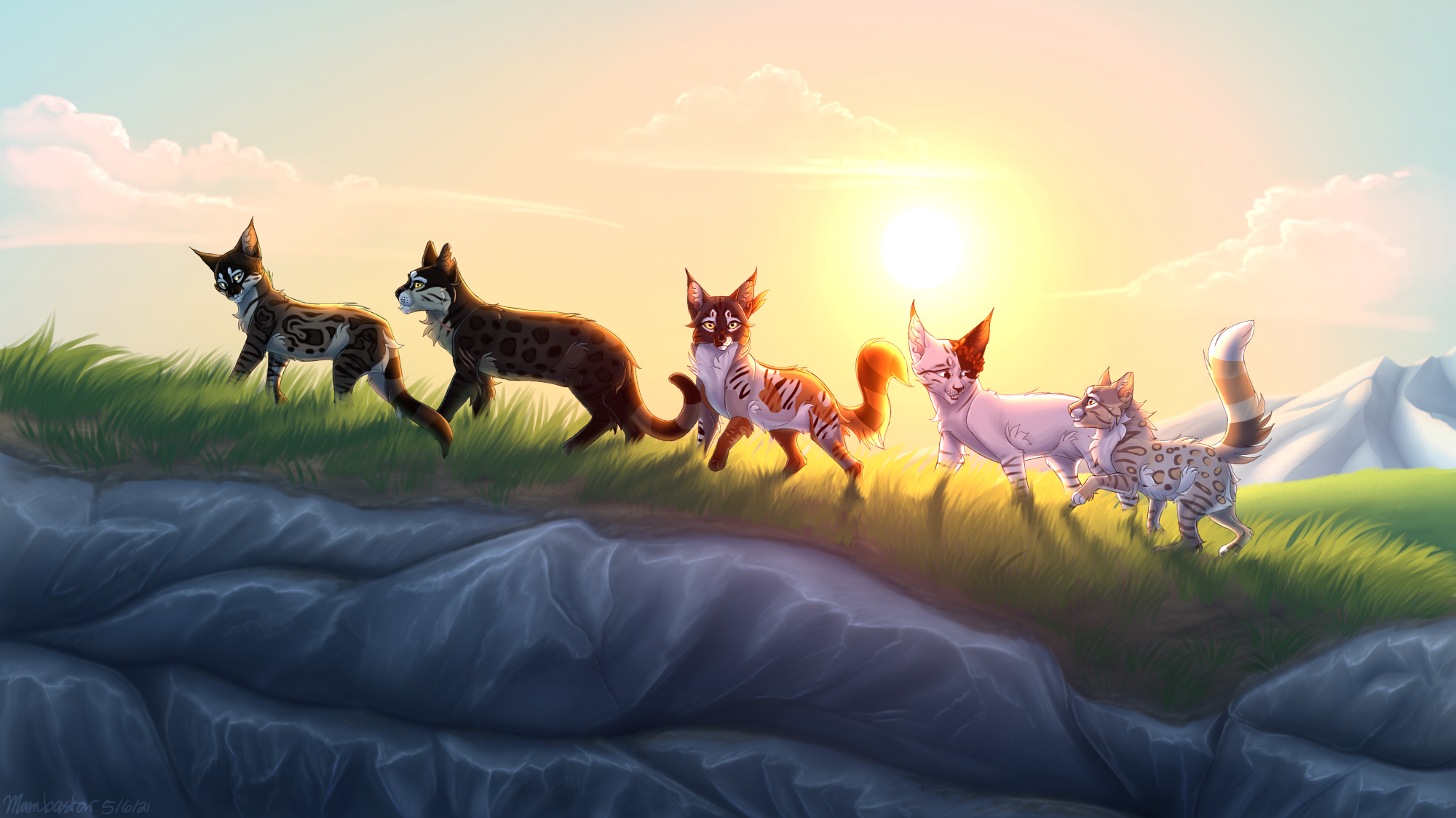 warrior cats Roblox  Warrior cats, Warrior cat drawings, Warrior