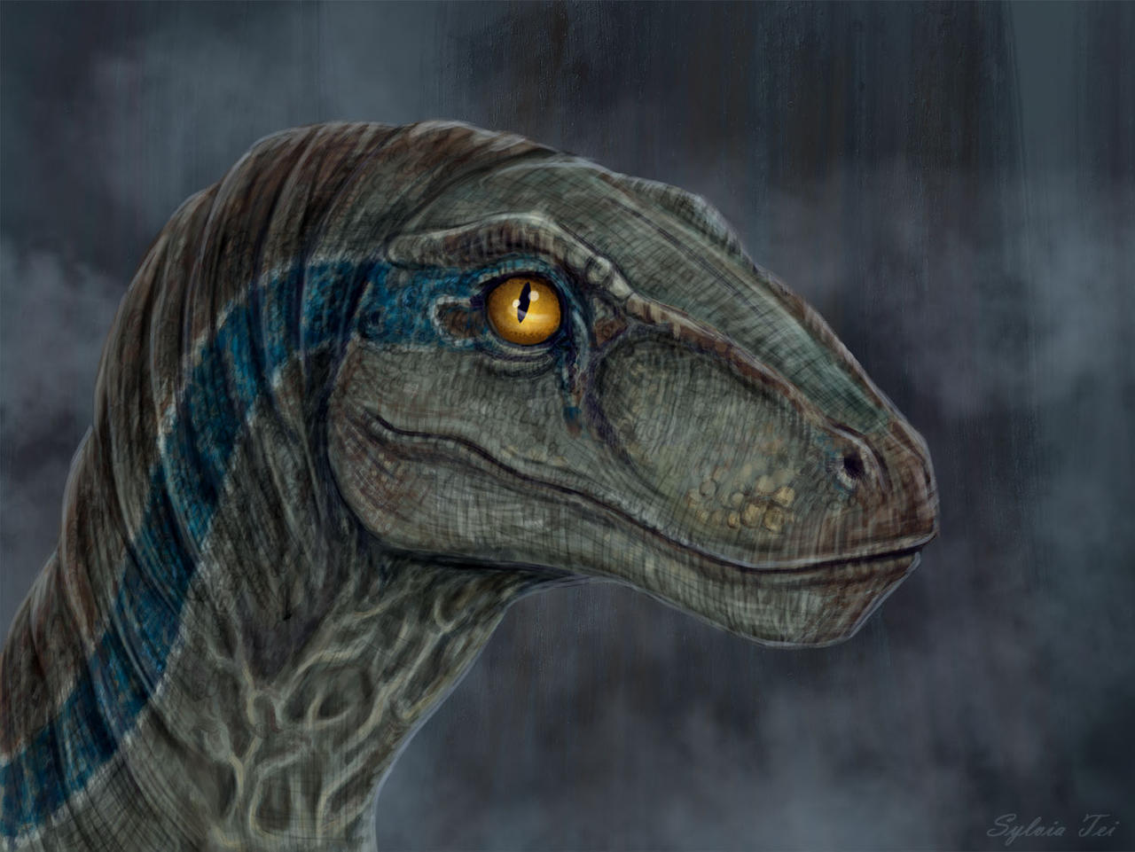 Raptor Blue by SylviaTei on DeviantArt
