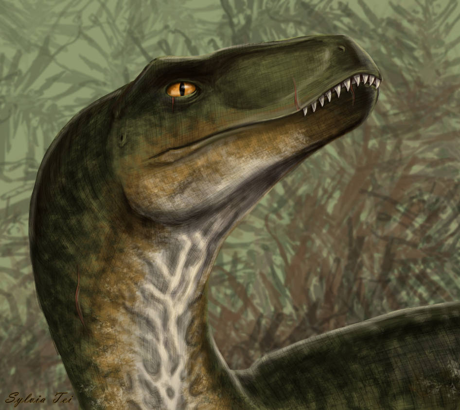 Raptor portrait by SylviaTei on DeviantArt