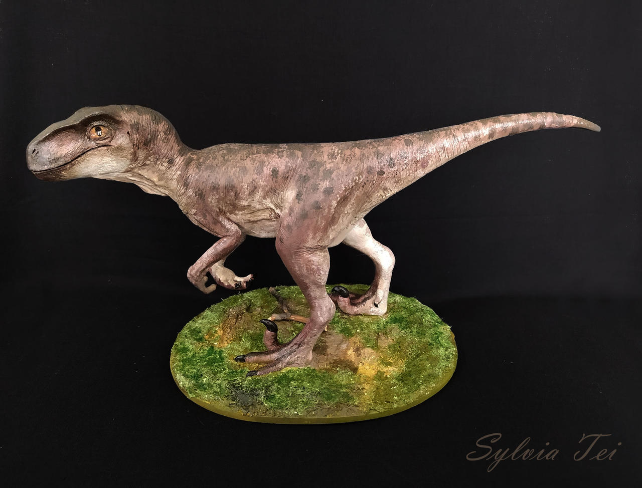 Utahraptor Hatchling by SylviaTei on DeviantArt