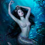 Black Pearl. Mermaid IV