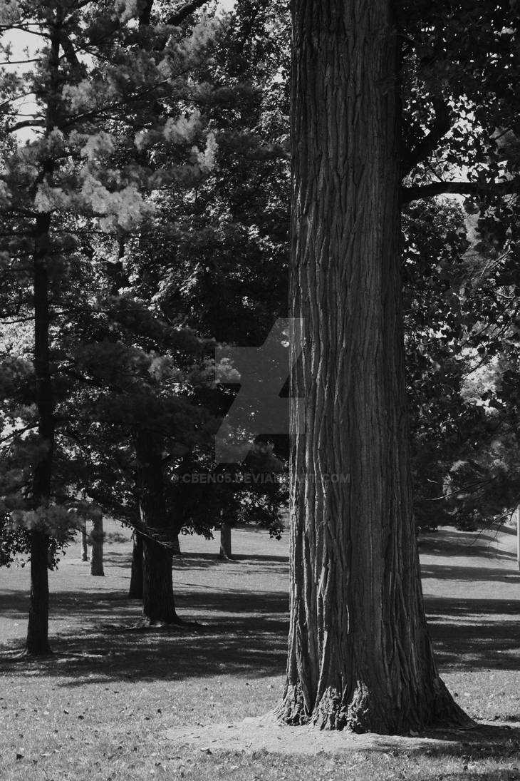 BW Tree by cben05 on DeviantArt