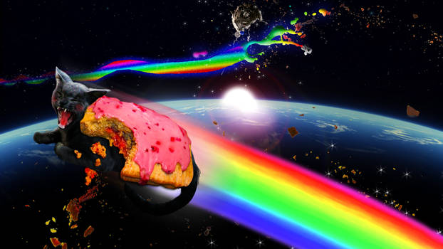 Poor Nyan Cat