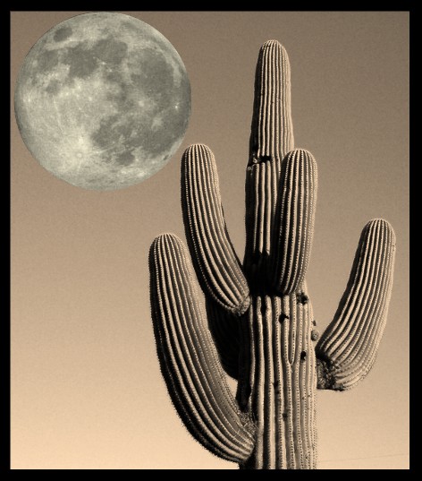 Cactus Full Moon